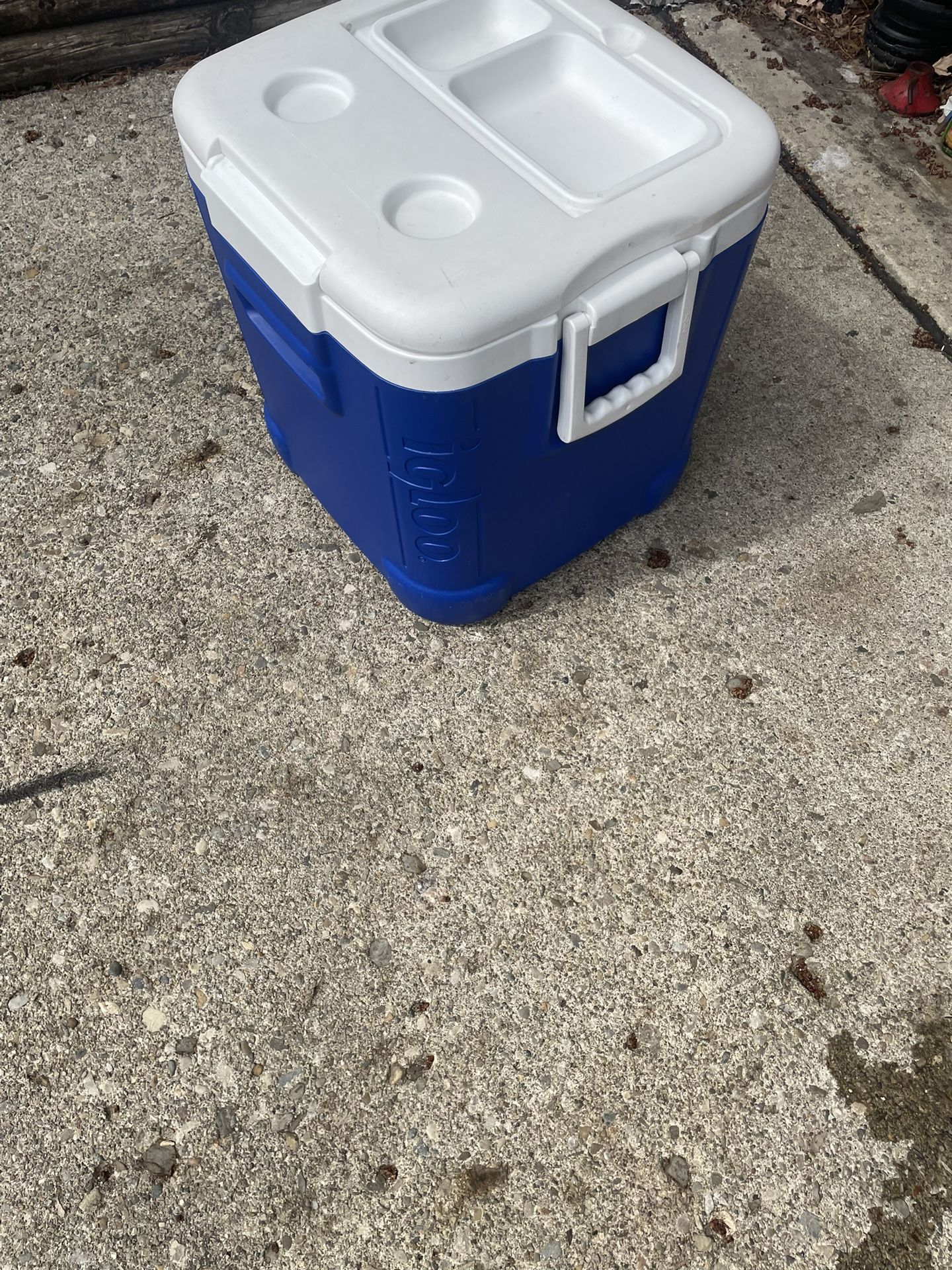 Igloo 48 Qt Cooler