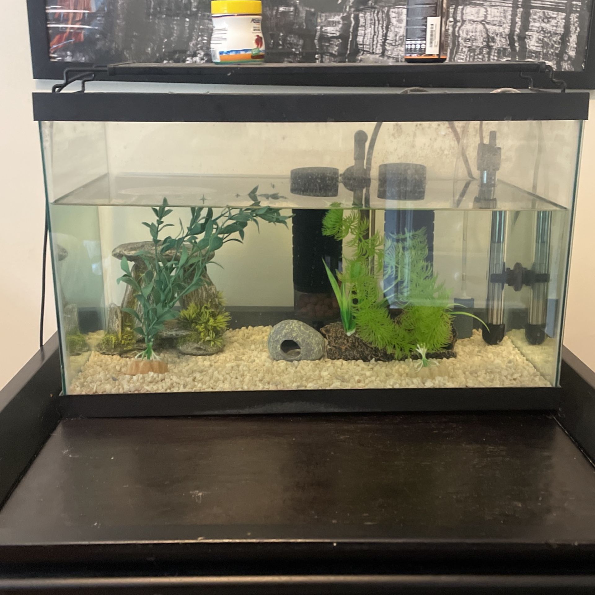 10 Gallon Fish Tank