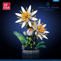 Epiphyllum Bonsai Flower Building Blocks | JIESTAR 9033
