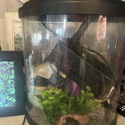 Fish/reptile Tank 