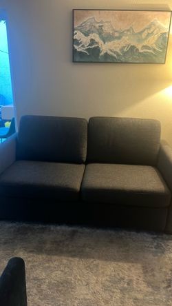 Pull out bed couch