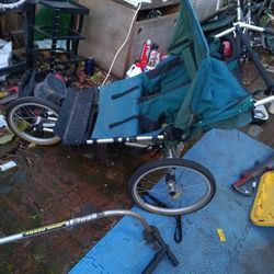 Baby Wagon