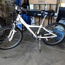 Giant Girls Bike 
