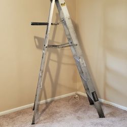 Ladder 6ft 