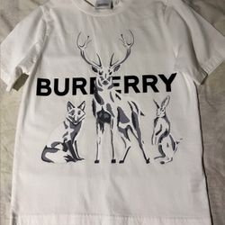 Like New Burberry Kids Shirt Size 10