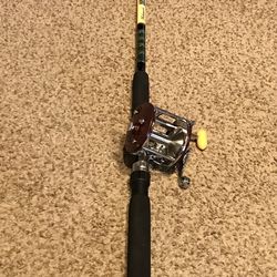 Vintage Penn peer#209 & Shakespeare sturdy stick combo