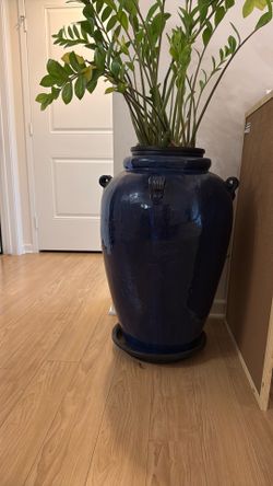 Large glazed terracotta pot