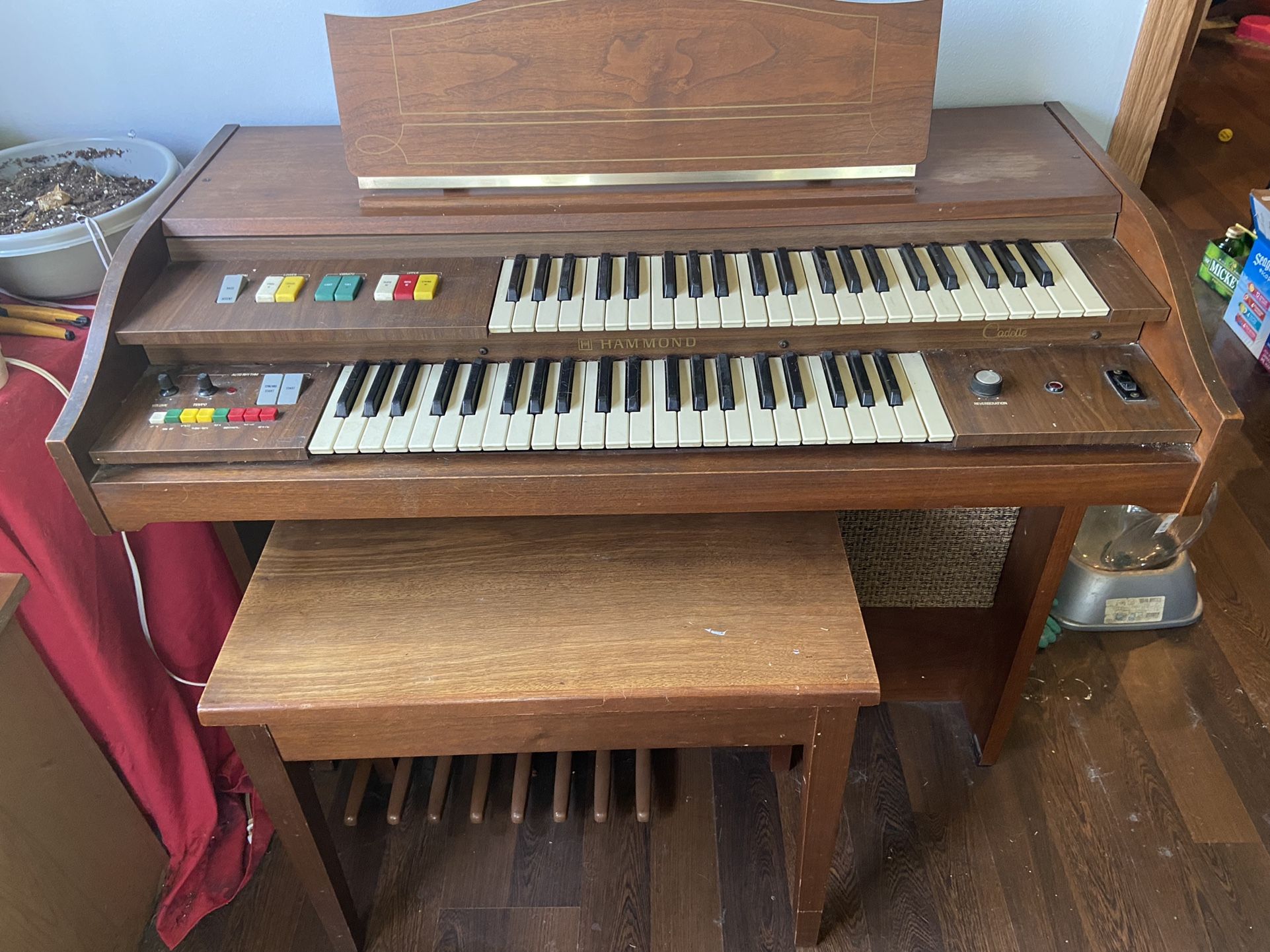 Electric Organ