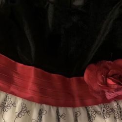 Children’s Dress (like New )