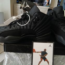 Jordan  Jumpman 12  Winterized Triple Black Retro  Size 10  Made In Vietnam  100% Original $450  NO LOW PLEASE 