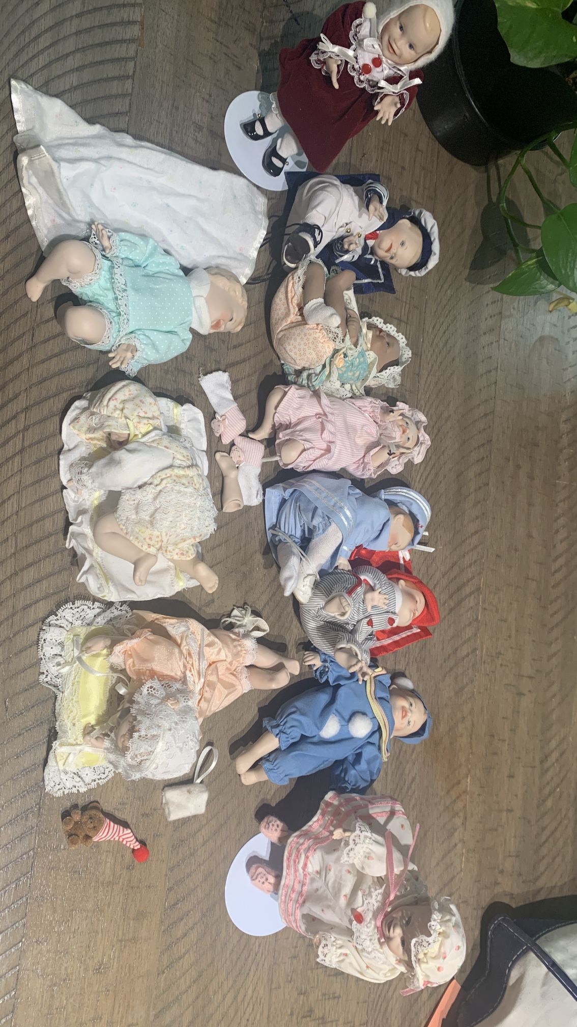 Ashton Drake Yolanda Bello Picture Perfect Porcelain Dolls