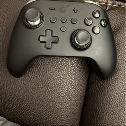 Nintendo Switch Controller