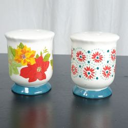 Pioneer Woman Ceramic Salt and Pepper Shakers Holiday Floral Pattern Poinsettia