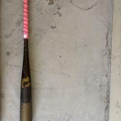 baseball bat
