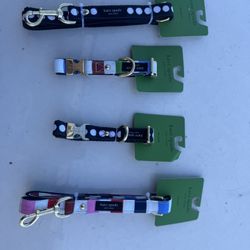 Kate Spade , Dog Leash & Dog Collar