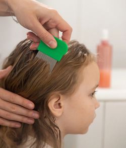 Hair lice Comb