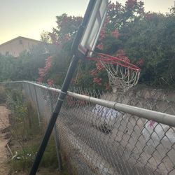 Basketball Rim For Sale 