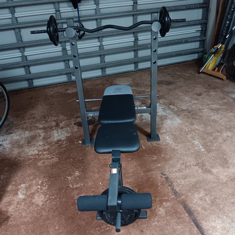 Weight Bench ...WITH weights !!! Nice !!@