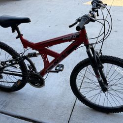 Teenager Bike