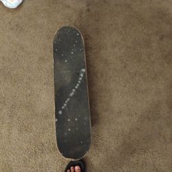Baker Skateboard 