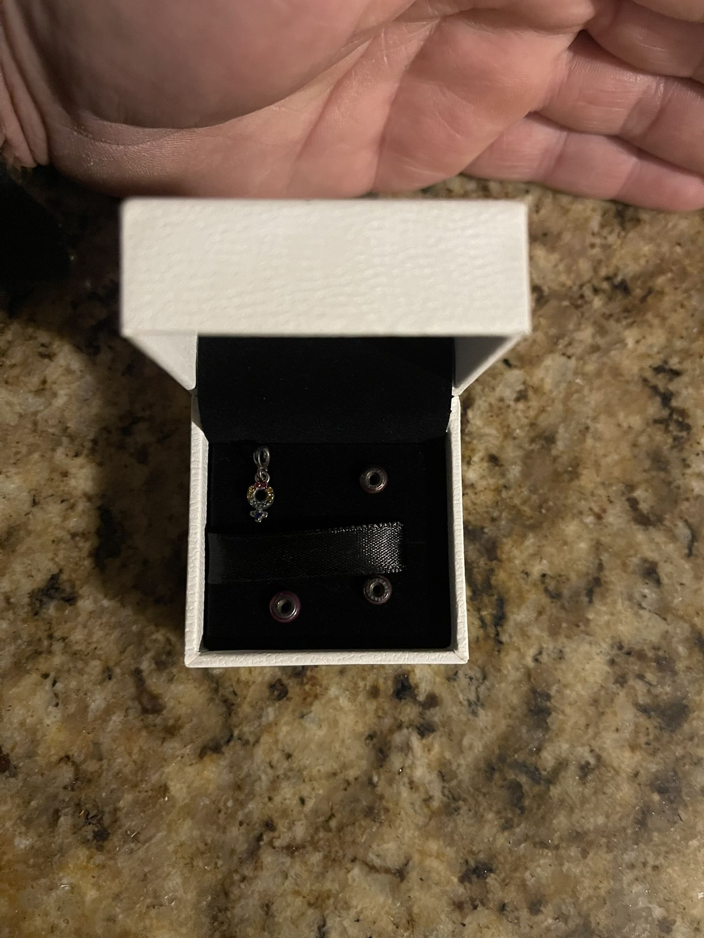 Pandora Charms 