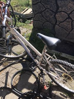 Road Master Mountain Bike