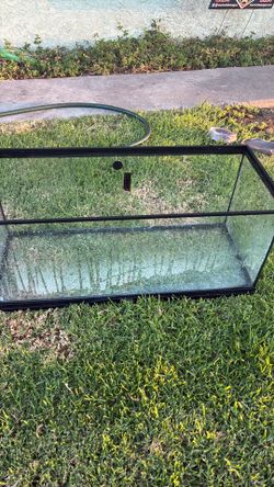 20 gallon terrarium pickup only