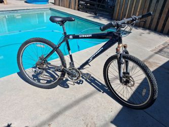 Stinger - Mens Bicycle