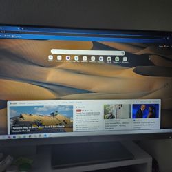 HP Monitor 