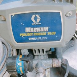 Magnum Painter 