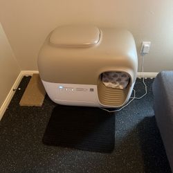 Self Cleaning Litter Box