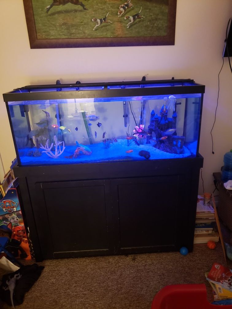 75 gallon aquarium