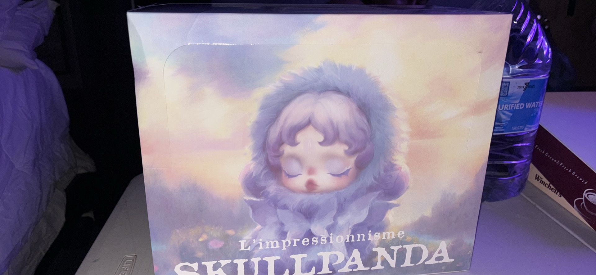 Skullpanda Pop mart Box Authentic