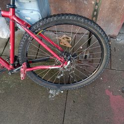 29 Inch Rear Bicycle Tire (8 Gears) With Rim