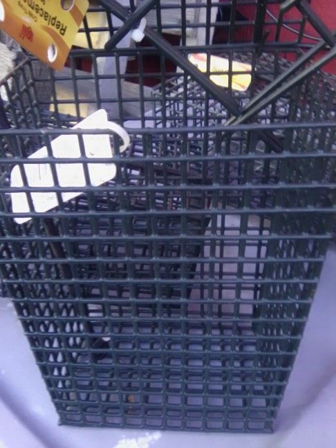 Crab Bate Feeding Containers