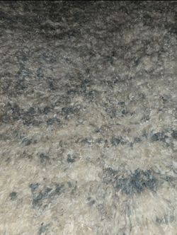 Fontana Shag Rug