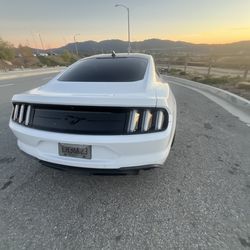 Euro lights for Mustang 2021
