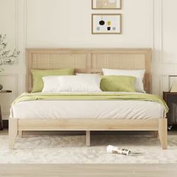 Noble House Queen Bed Frame 