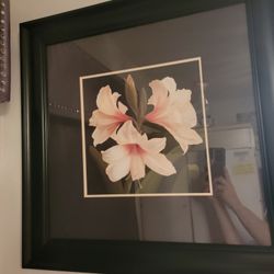 (2) Framed & Matted w Glass Amaryllis Prints 24 3/4" sq