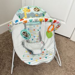 Baby Bouncer