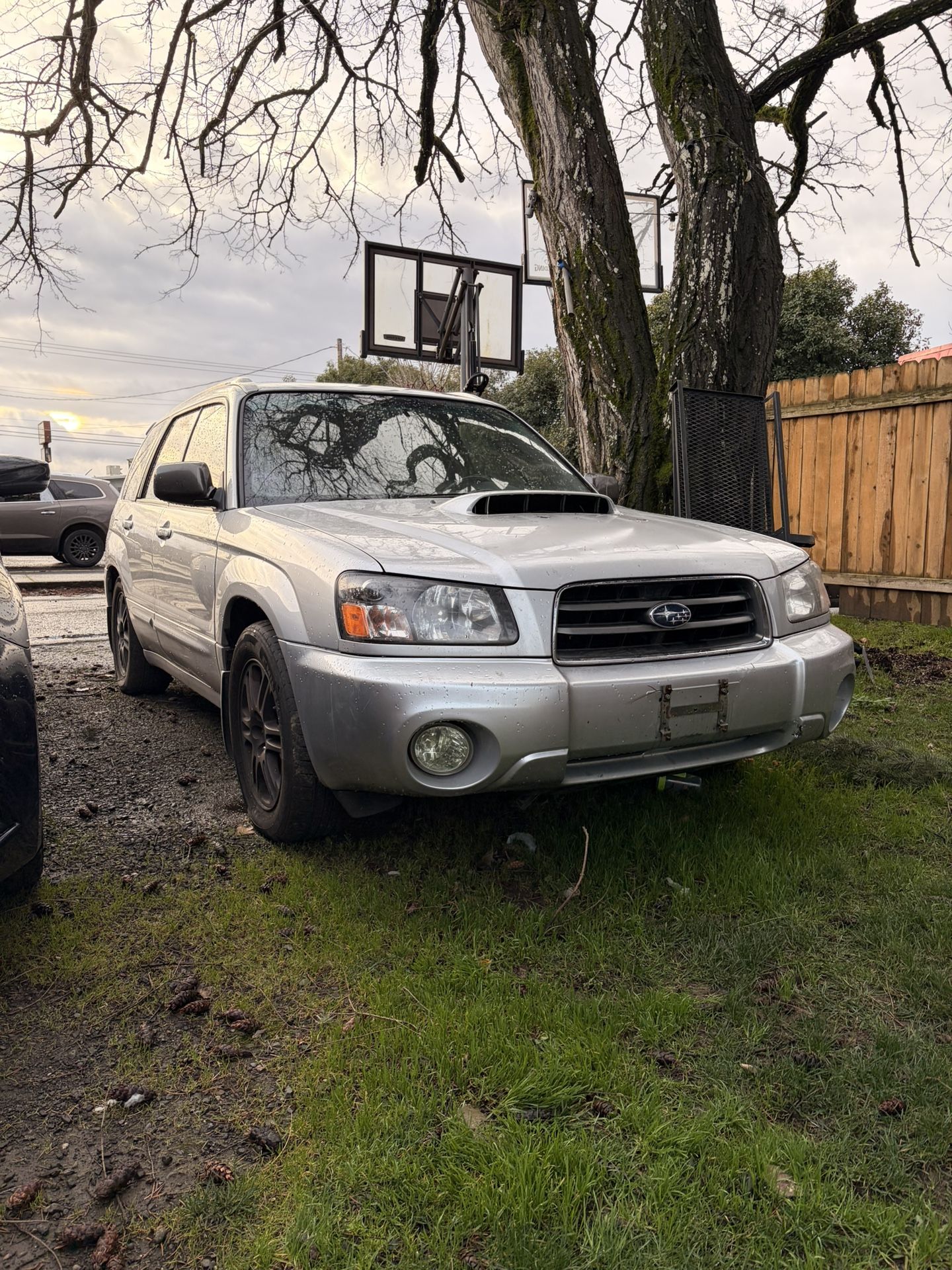 2005 Subaru Forester