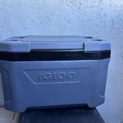 Cooler  Igloo 