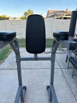 XMark Vertical Knee Raise Station and Dips
