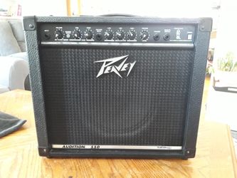 Peavey 2024 audition 110