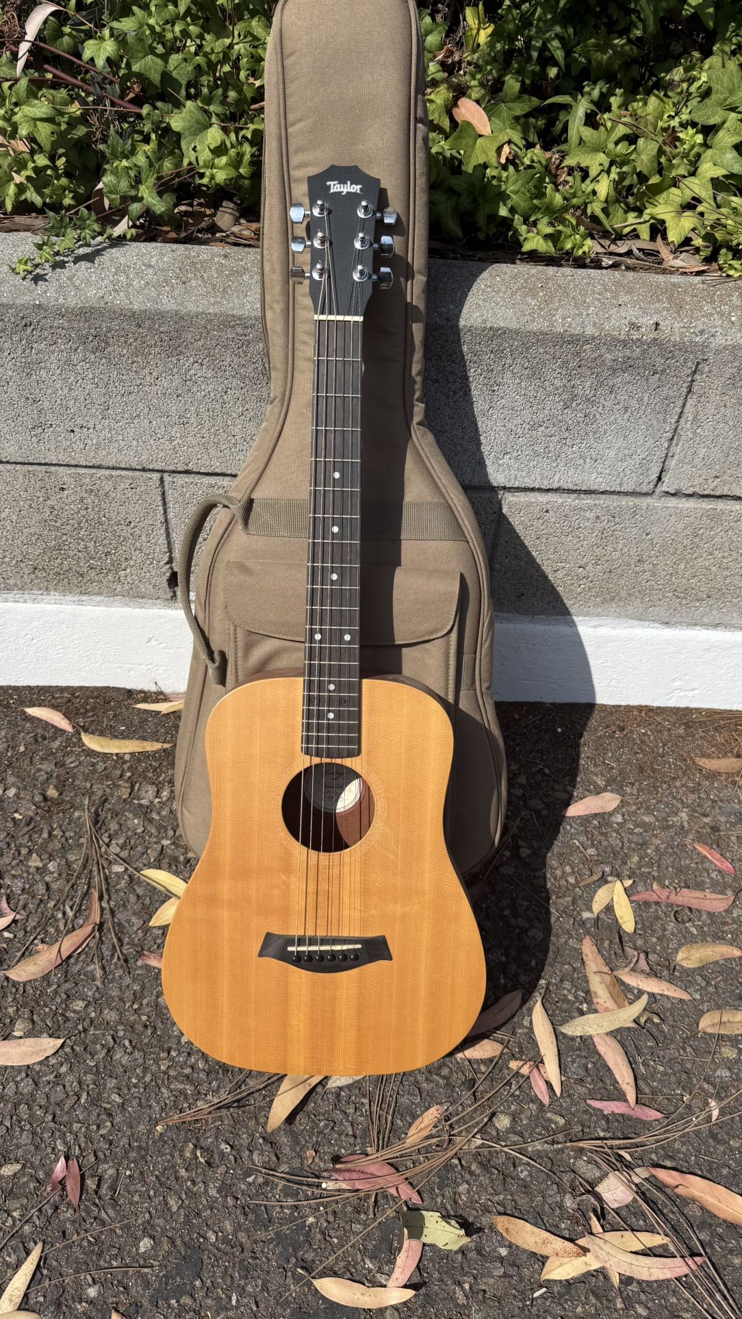 Baby Taylor Guitar with Bag