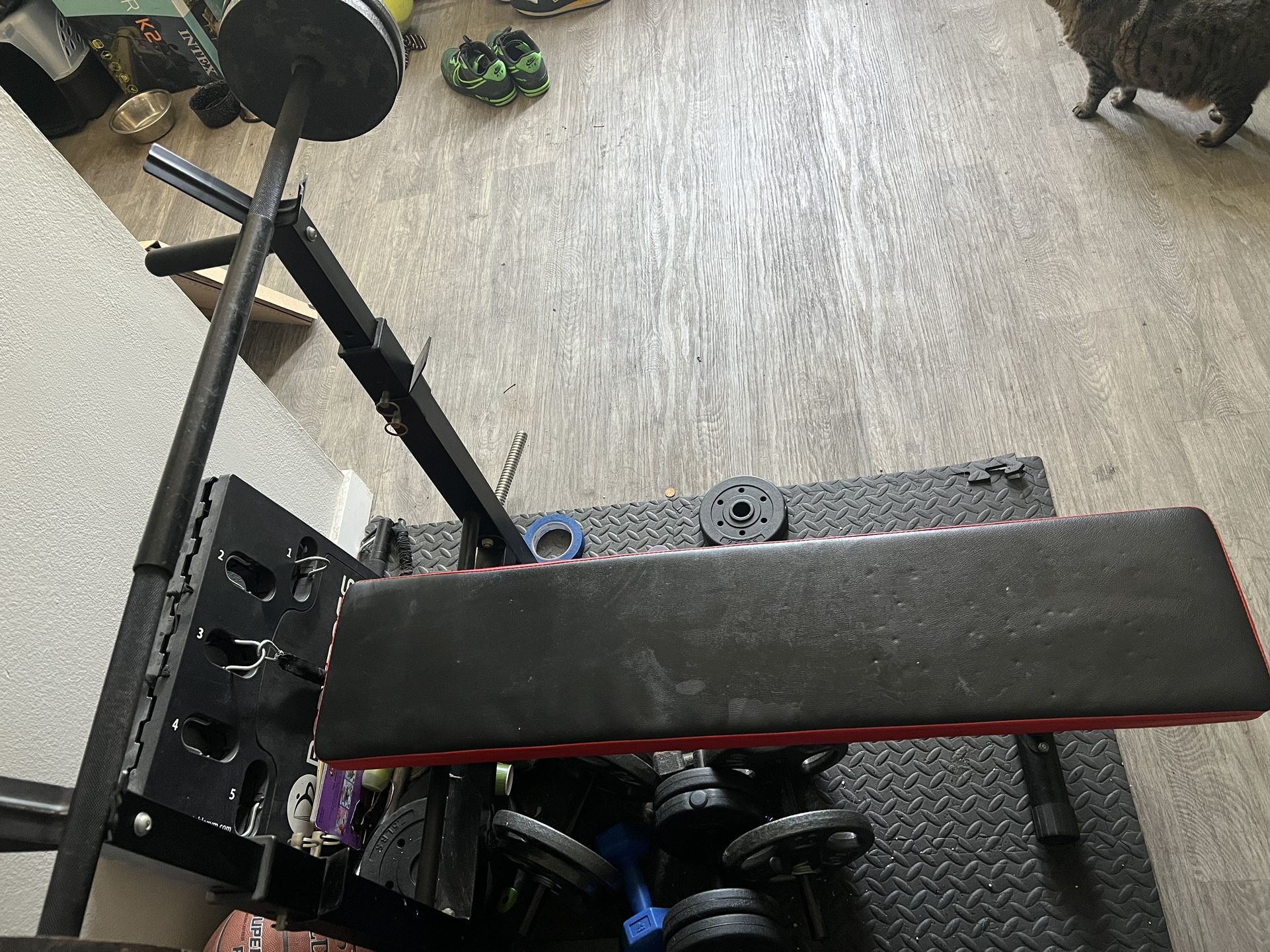Weight Bench