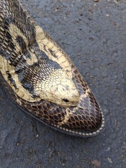 Snakehead boots you genuine