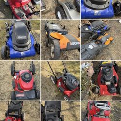 Blower fir landscape and more