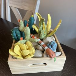 Wonder and Wise Succulent Garden