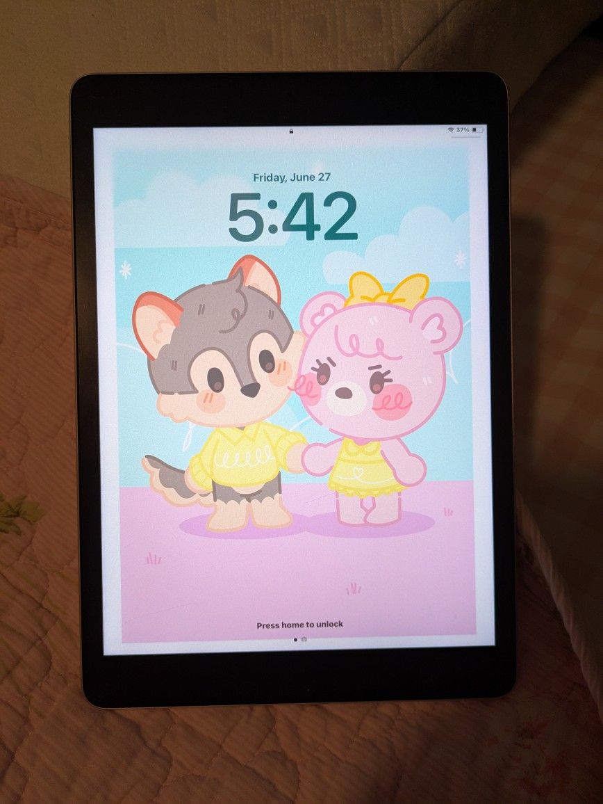 iPad 9th Gen 64 Gb